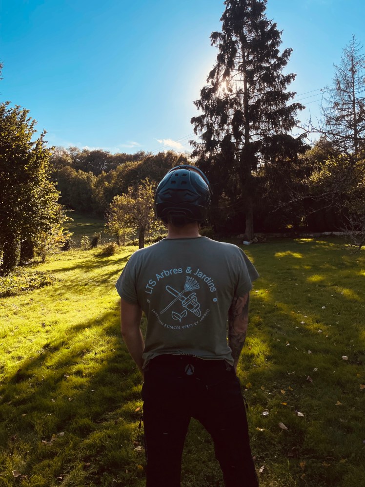 lts arbres et jardins paysagiste élagueur, entretiens jardins et espaces verts
