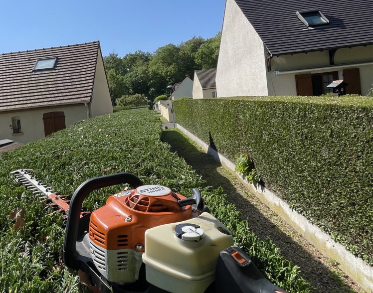 Paysagiste élagueur, entretien jardins, remise en état, taille de haie, à moigny sur école essonnes 91 LTS ARBRES ET JARDINS