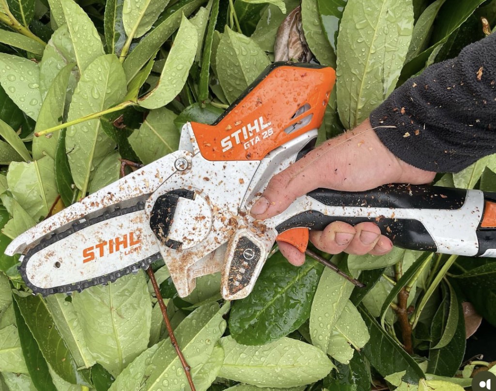 Paysagiste élagueur, entretien jardins, remise en état, élagage, abattage, à moigny sur école essonnes 91 LTS ARBRES ET JARDINS artisan local