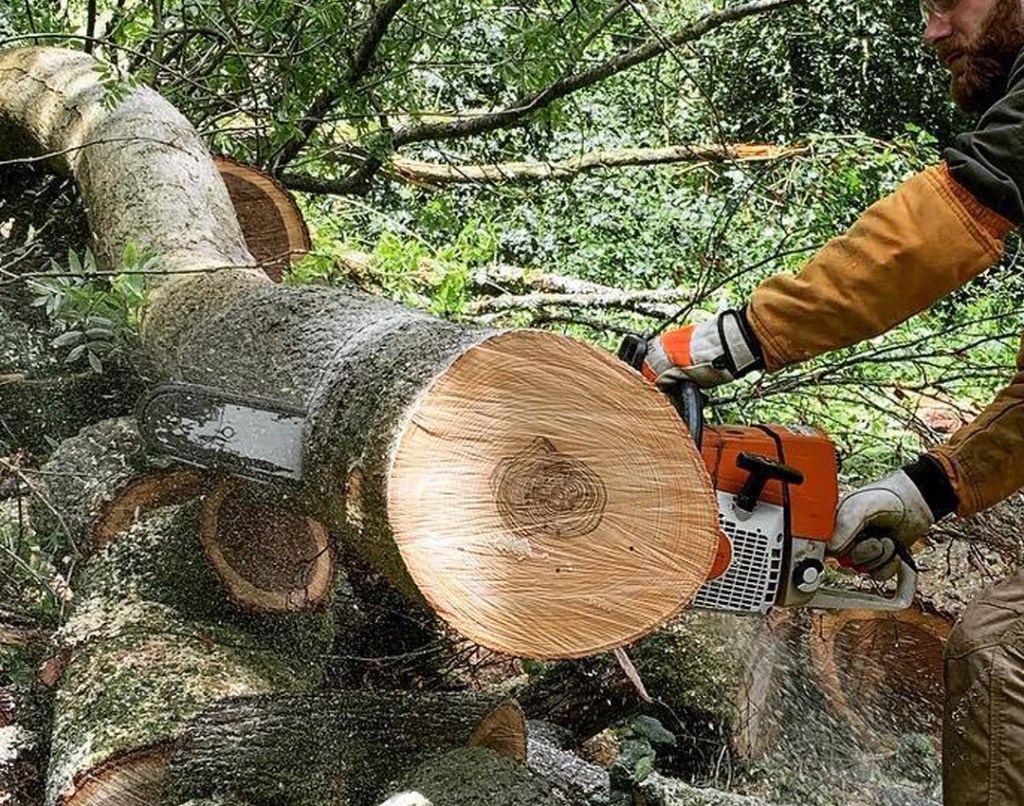 Paysagiste élagueur, entretien jardins, remise en état, élagage, abattage, à moigny sur école essonnes 91 LTS ARBRES ET JARDINS artisan local