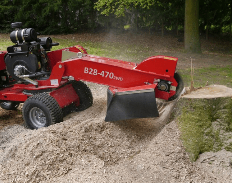 Rognage de Souche en Essonnes 91 : Éliminez les Obstacles&nbsp;Définitivement